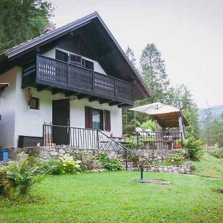 Naturalina Holiday House Gorenja Trebusa Esterno foto