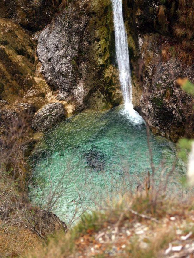 Naturalina Holiday House Gorenja Trebusa Esterno foto