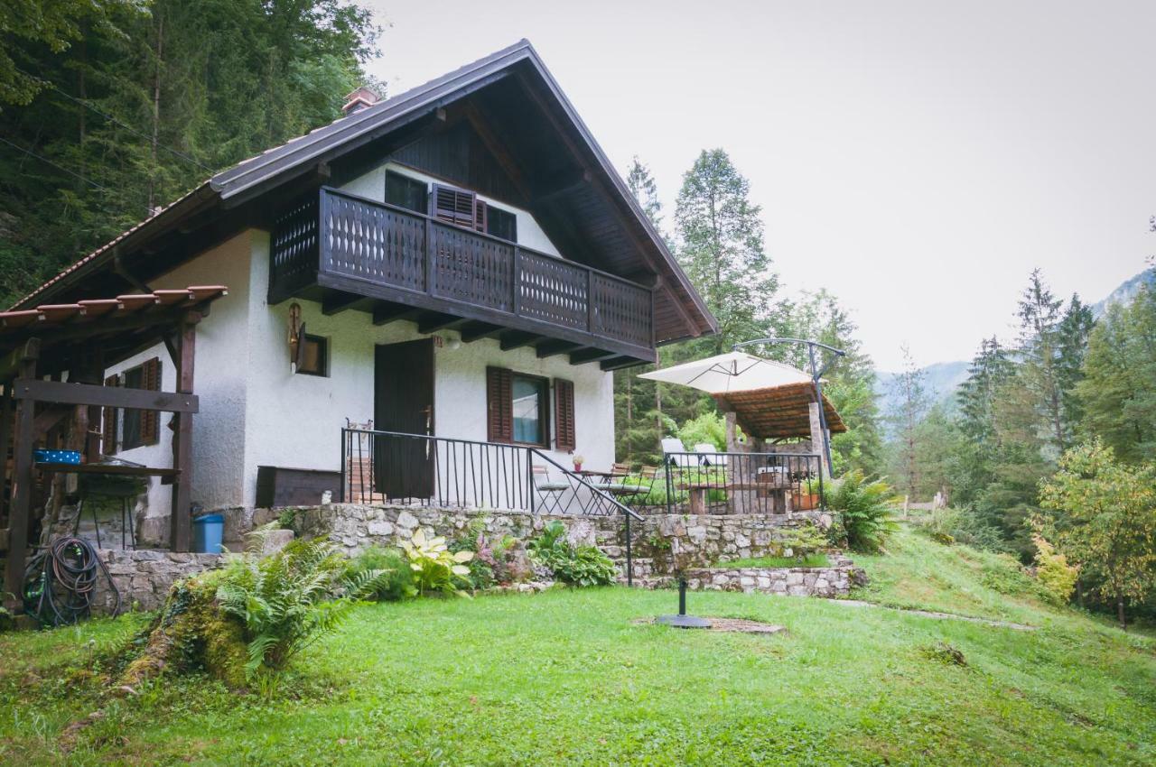 Naturalina Holiday House Gorenja Trebusa Esterno foto
