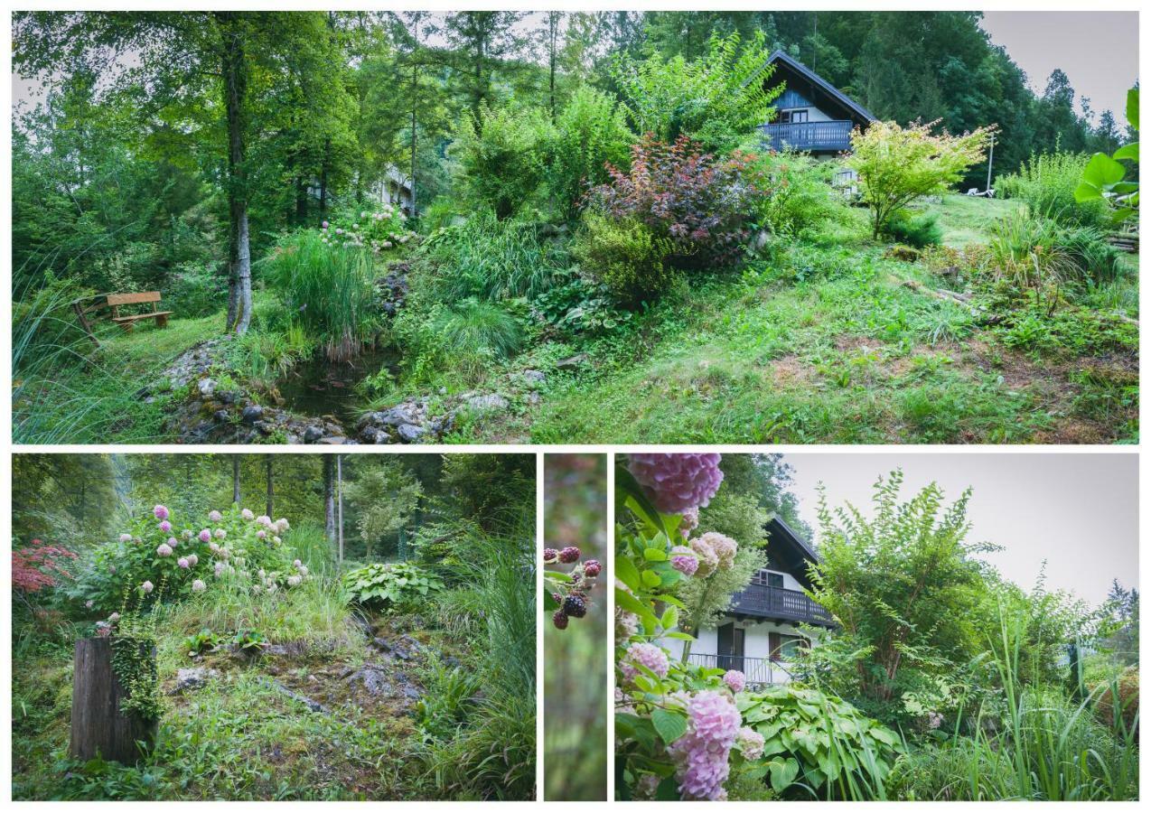 Naturalina Holiday House Gorenja Trebusa Esterno foto